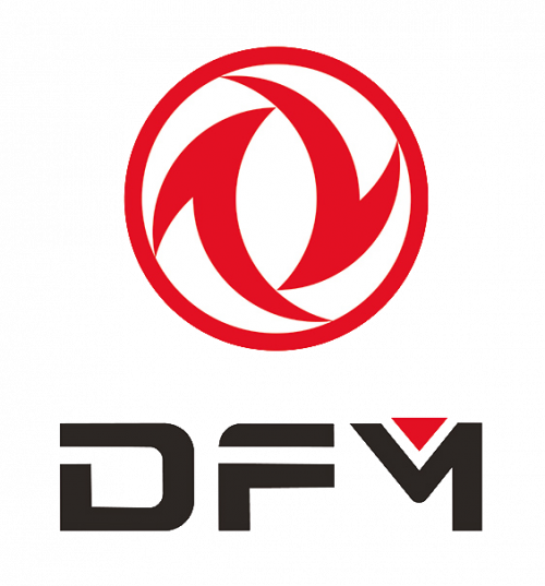 DFM